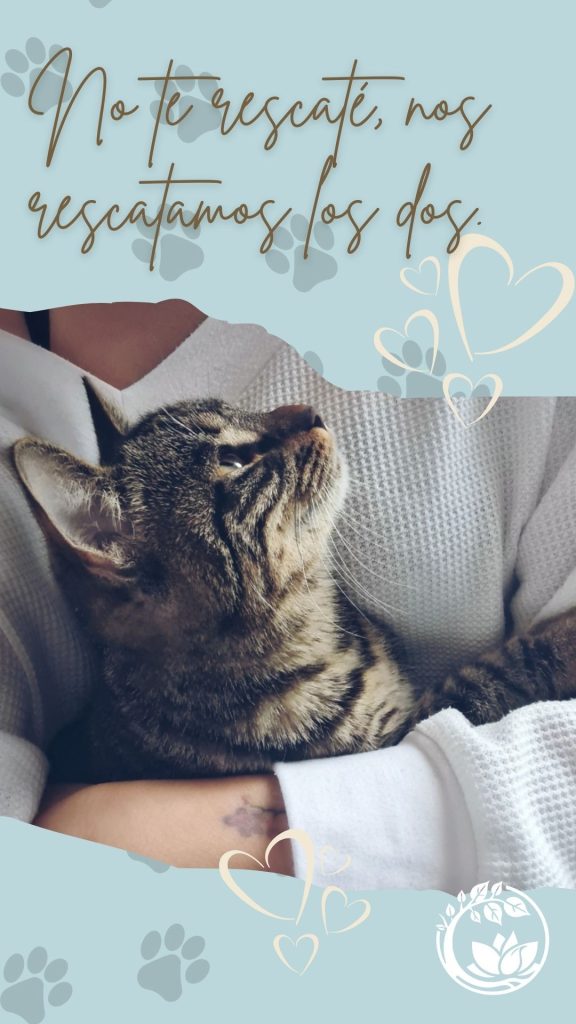Poder Terapéutico de las Mascotas